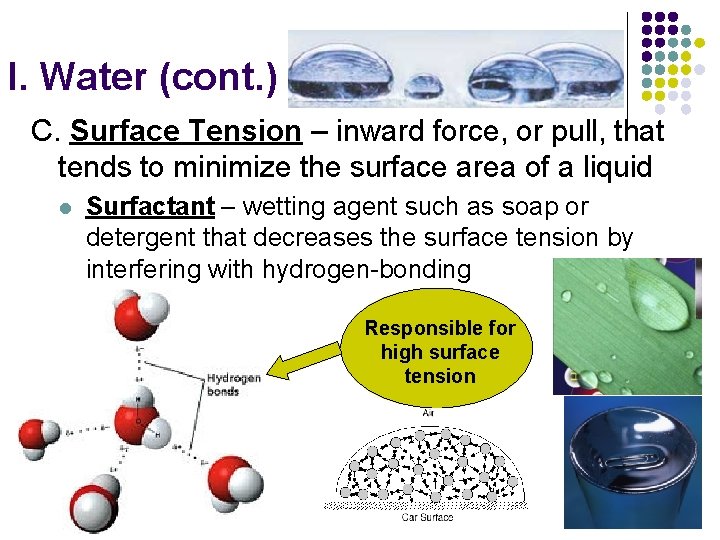 I. Water (cont. ) C. Surface Tension – inward force, or pull, that tends