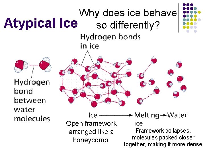 Atypical Why does ice behave Ice so differently? Open framework arranged like a honeycomb.