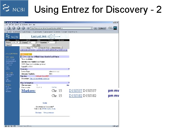 Using Entrez for Discovery - 2 