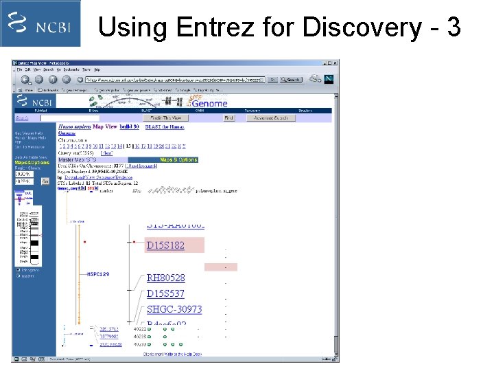 Using Entrez for Discovery - 3 