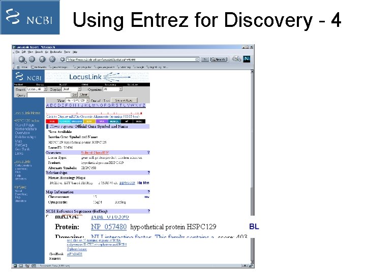 Using Entrez for Discovery - 4 