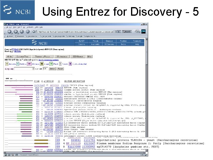 Using Entrez for Discovery - 5 