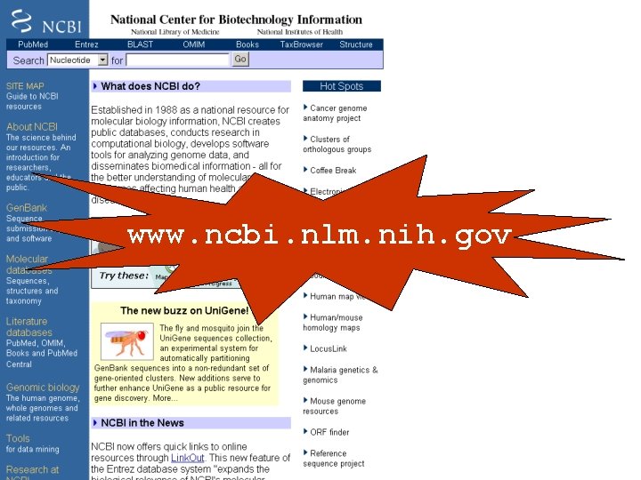 www. ncbi. nlm. nih. gov 