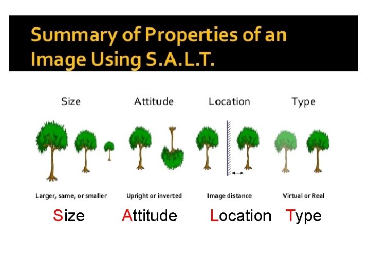 Size Attitude Location Type 