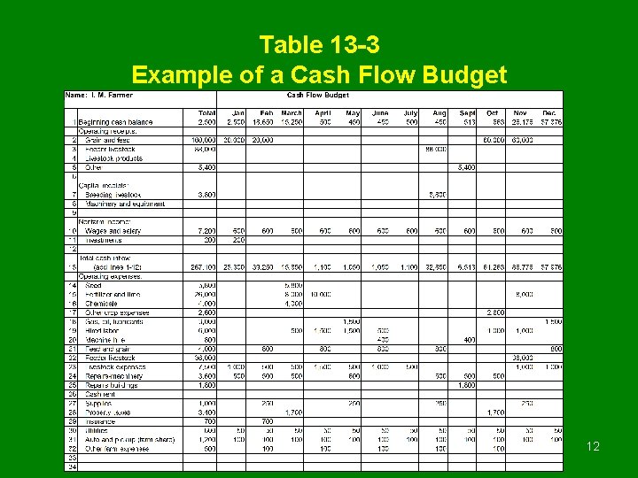 Table 13 -3 Example of a Cash Flow Budget 12 