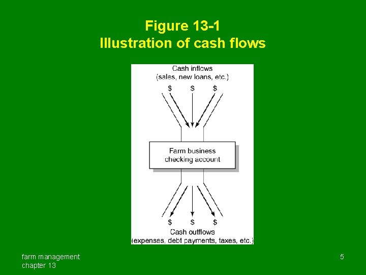Figure 13 -1 Illustration of cash flows farm management chapter 13 5 