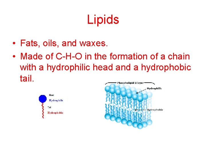 Lipids • Fats, oils, and waxes. • Made of C-H-O in the formation of
