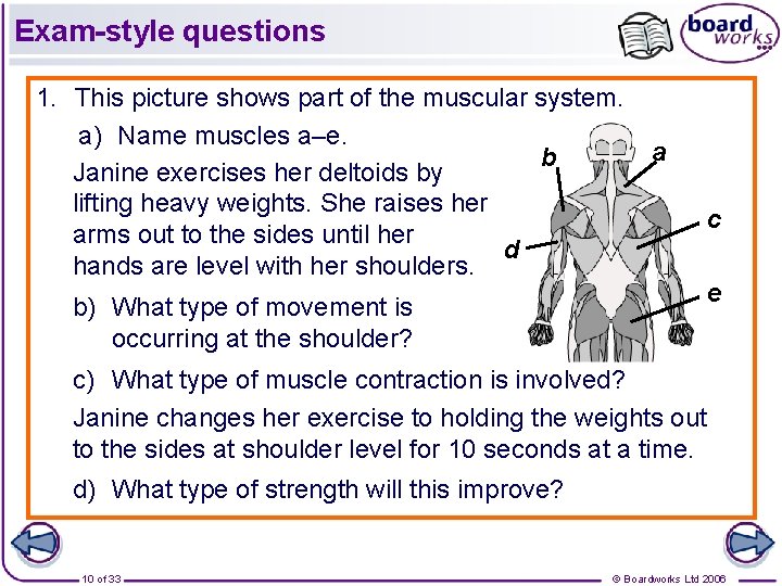 Exam-style questions 1. This picture shows part of the muscular system. a) Name muscles Exam-style questions 1. This picture shows part of the muscular system. a) Name muscles
