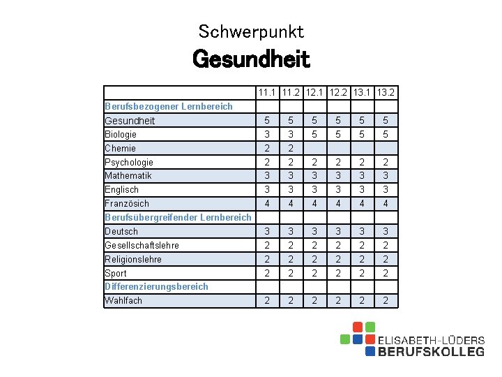 Schwerpunkt Gesundheit 11. 1 11. 2 12. 1 12. 2 13. 1 13. 2