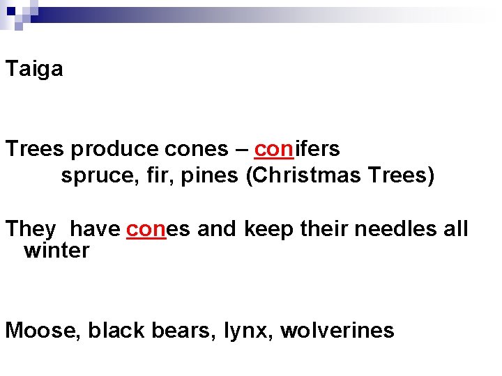 Taiga Trees produce cones – conifers spruce, fir, pines (Christmas Trees) They have cones