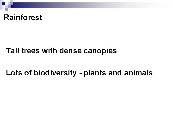 Rainforest Tall trees with dense canopies Lots of biodiversity - plants and animals 