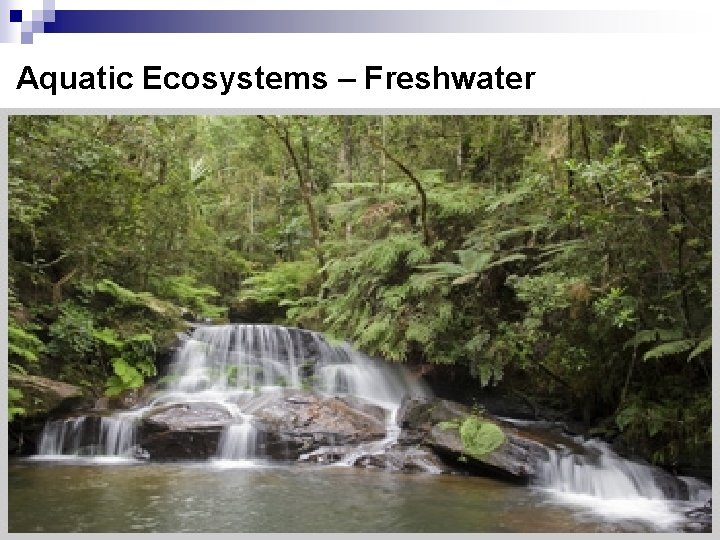 Aquatic Ecosystems – Freshwater 