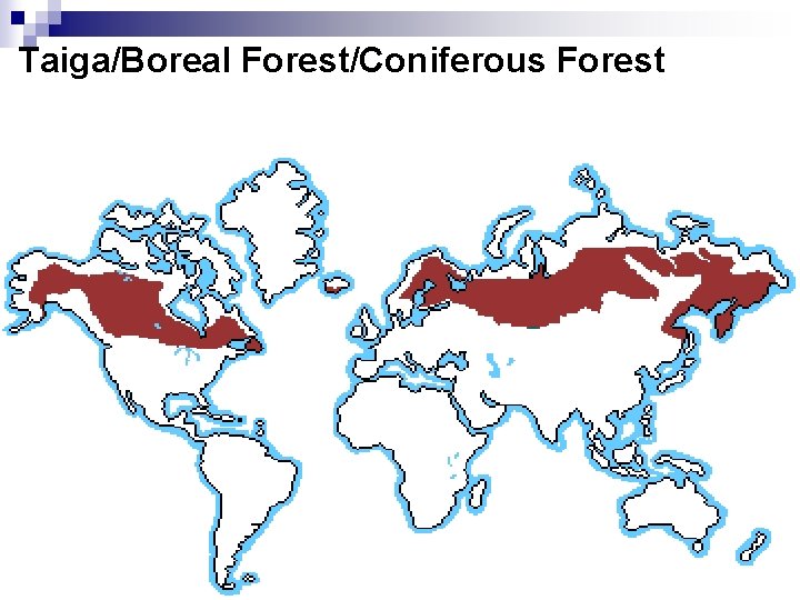 Taiga/Boreal Forest/Coniferous Forest 