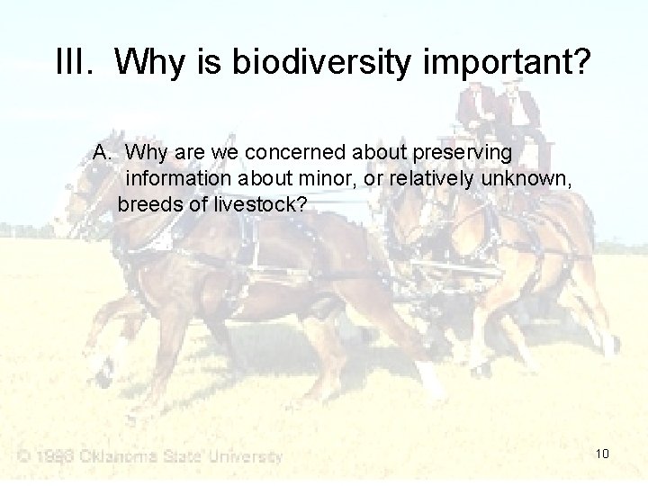 III. Why is biodiversity important? A. Why are we concerned about preserving information about