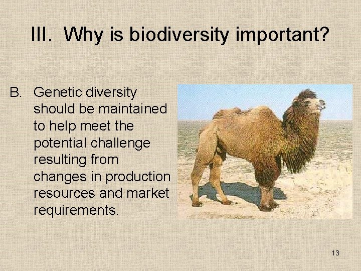 III. Why is biodiversity important? B. Genetic diversity should be maintained to help meet