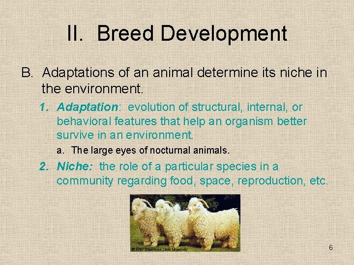 II. Breed Development B. Adaptations of an animal determine its niche in the environment.