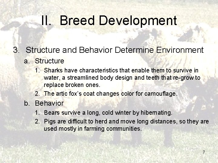 II. Breed Development 3. Structure and Behavior Determine Environment a. Structure 1. Sharks have