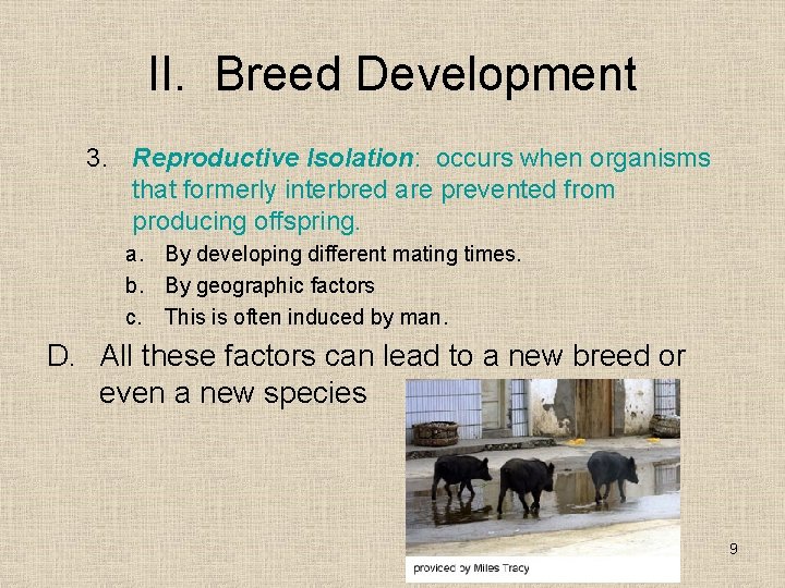 II. Breed Development 3. Reproductive Isolation: occurs when organisms that formerly interbred are prevented