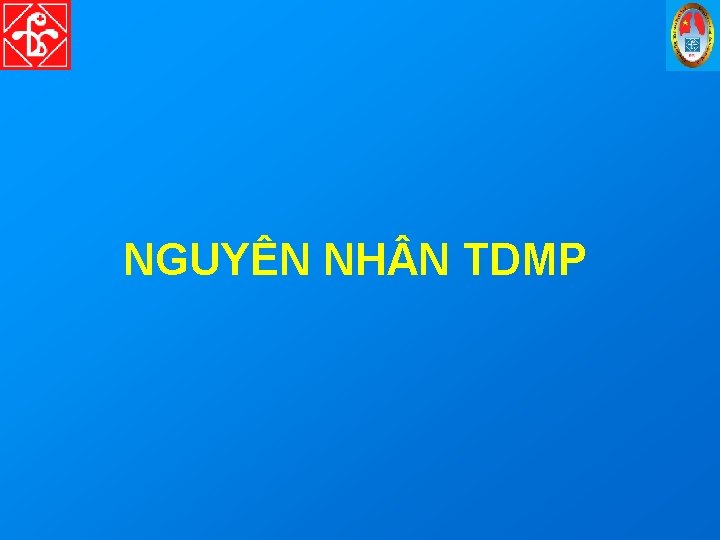 NGUYÊN NH N TDMP 