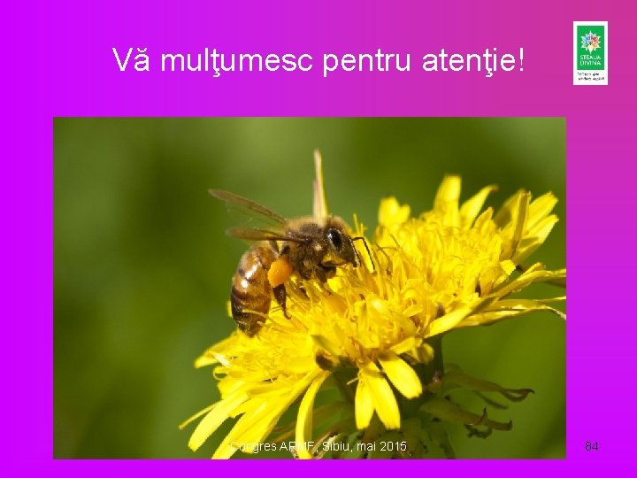 Vă mulţumesc pentru atenţie! Congres ARMF, Sibiu, mai 2015 84 Vă mulţumesc pentru atenţie! Congres ARMF, Sibiu, mai 2015 84