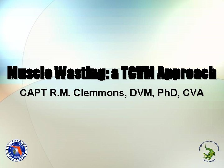 Muscle Wasting: a TCVM Approach CAPT R. M. Clemmons, DVM, Ph. D, CVA 