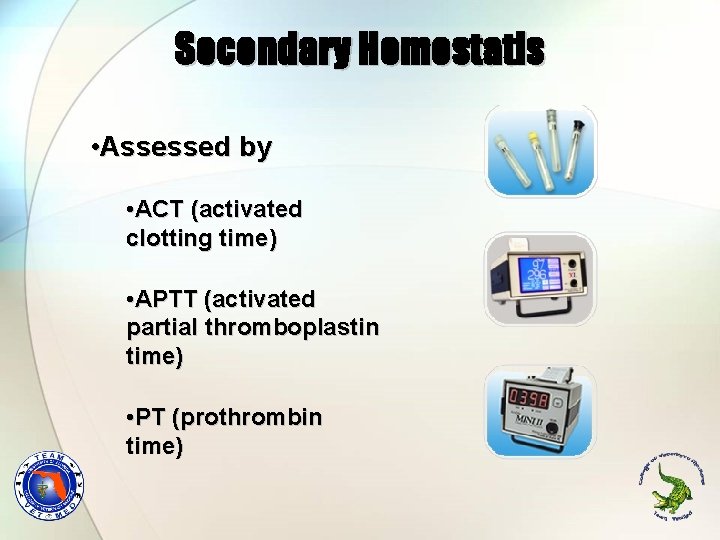 Secondary Hemostatis • Assessed by • ACT (activated clotting time) • APTT (activated partial