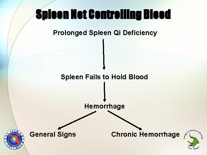 Spleen Not Controlling Blood Prolonged Spleen Qi Deficiency Spleen Fails to Hold Blood Hemorrhage