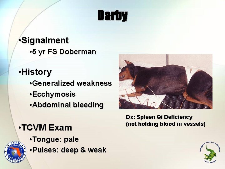 Darby • Signalment • 5 yr FS Doberman • History • Generalized weakness •