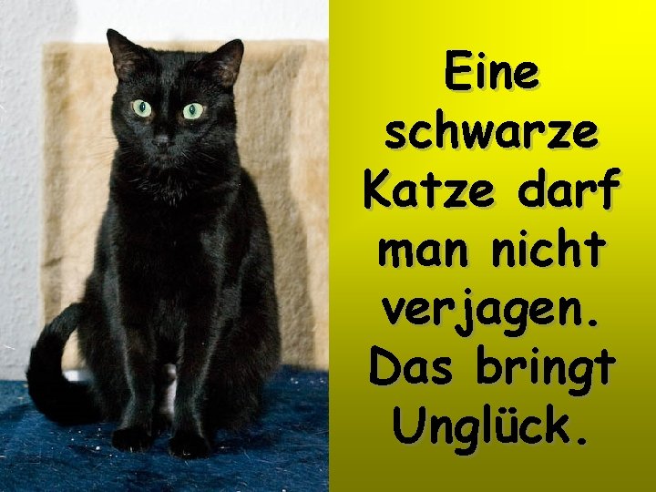 Eine schwarze Katze darf man nicht verjagen. Das bringt Unglück. 