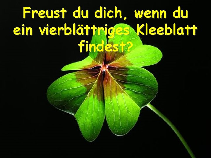 Freust du dich, wenn du ein vierblättriges Kleeblatt findest? 