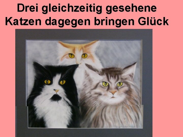 Drei gleichzeitig gesehene Katzen dagegen bringen Glück 