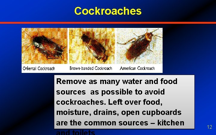 Cockroaches Remove as many water and food sources as possible to avoid cockroaches. Left