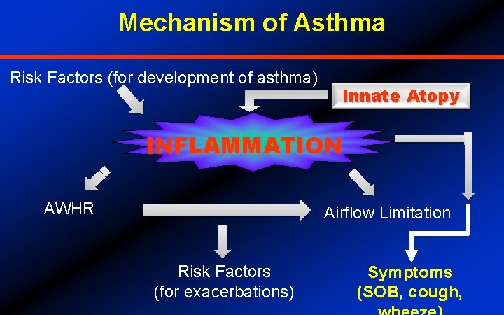 Mechanism of Asthma Risk Factors (for development of asthma) Innate Atopy INFLAMMATION AWHR Airflow