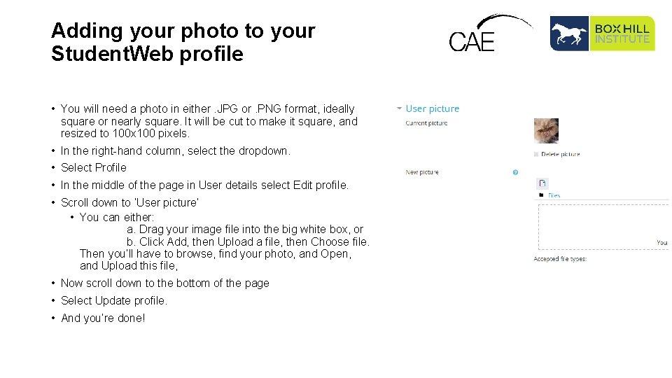 Adding your photo to your Student. Web profile • You will need a photo
