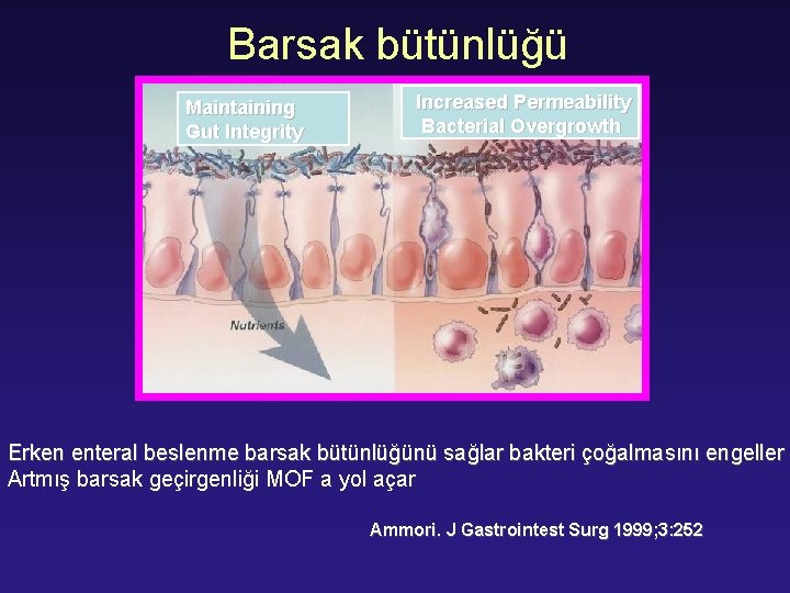 Barsak bütünlüğü Maintaining Gut Integrity Increased Permeability Bacterial Overgrowth Erken enteral beslenme barsak bütünlüğünü