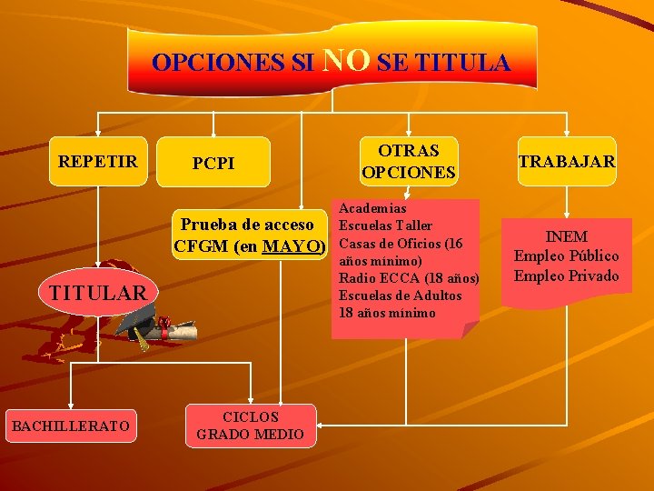 OPCIONES SI NO SE TITULA REPETIR PCPI Prueba de acceso CFGM (en MAYO) TITULAR