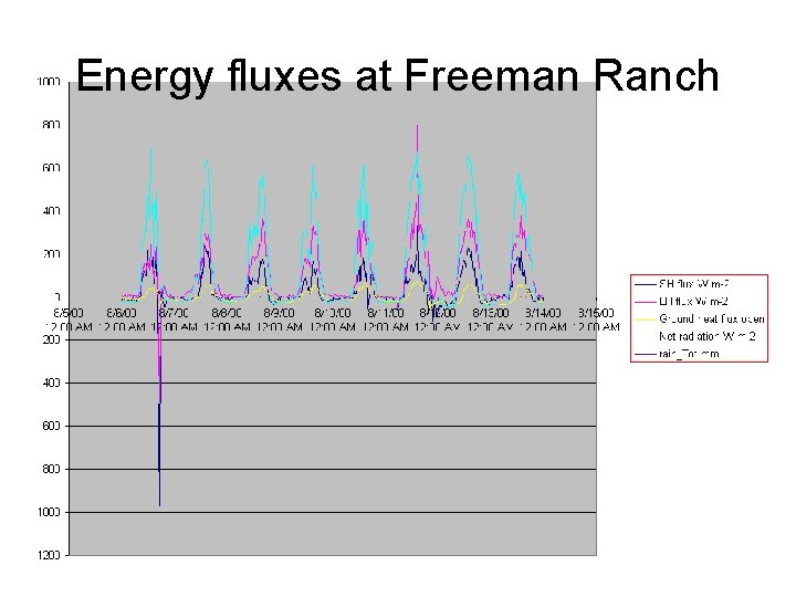 Energy fluxes at Freeman Ranch 