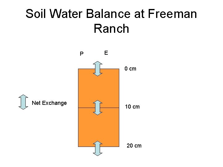 Soil Water Balance at Freeman Ranch P E 0 cm Net Exchange 10 cm