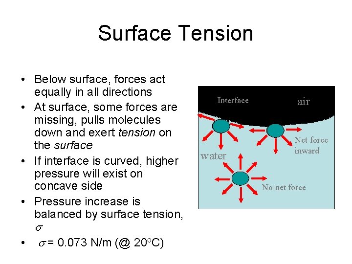 Surface Tension • Below surface, forces act equally in all directions • At surface,