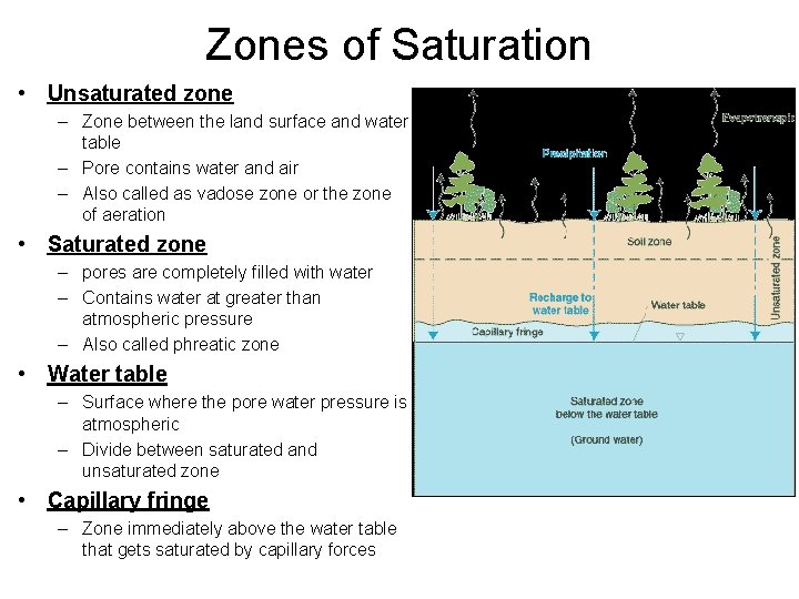 Zones of Saturation • Unsaturated zone – Zone between the land surface and water