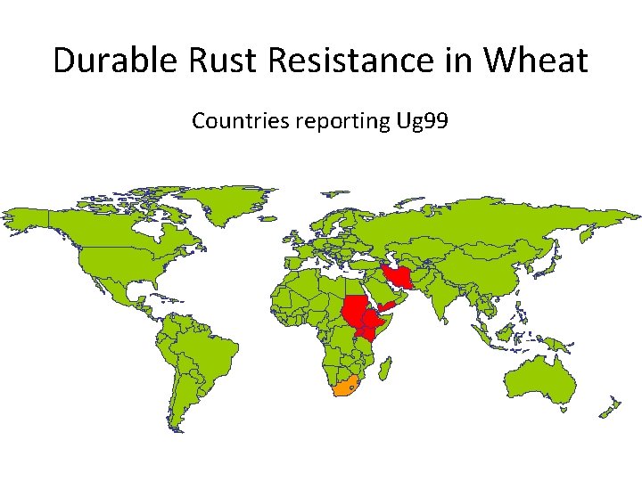 Durable Rust Resistance in Wheat Countries reporting Ug 99 