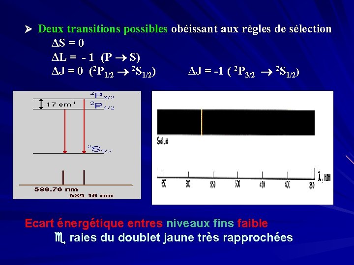  Deux transitions possibles obéissant aux règles de sélection ΔS = 0 ΔL =