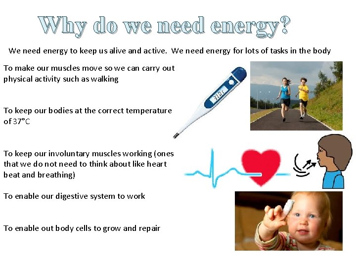 Why do we need energy? We need energy to keep us alive and active.