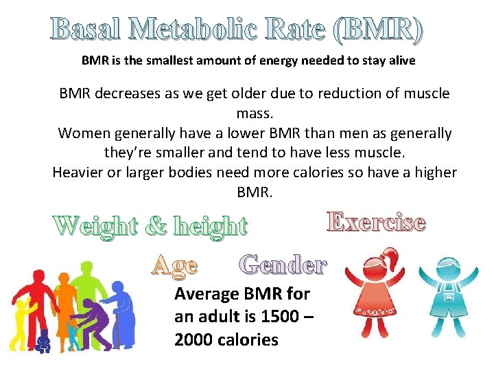 Basal Metabolic Rate (BMR) BMR is the smallest amount of energy needed to stay