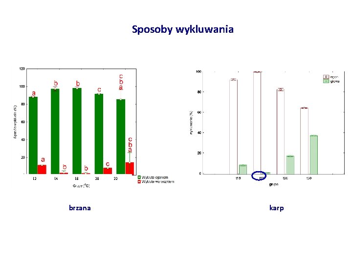 Sposoby wykluwania 12 14 18 brzana 20 22 karp 