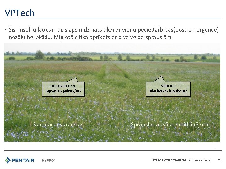 VPTech • Šis linsēklu lauks ir ticis apsmidzināts tikai ar vienu pēciedarbības(post-emergence) nezāļu herbicīdu.