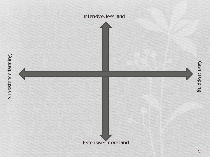 Cash cropping Subsistence farming Intensive: less land Extensive: more land 13 