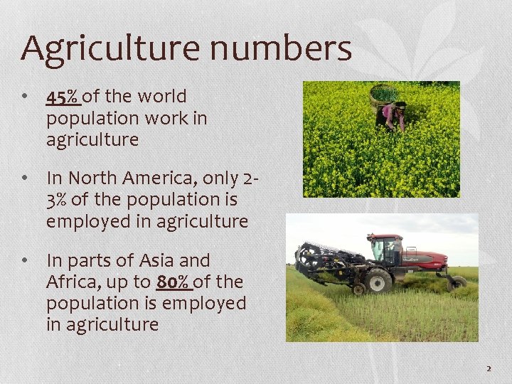 Agriculture numbers • 45% of the world population work in agriculture • In North