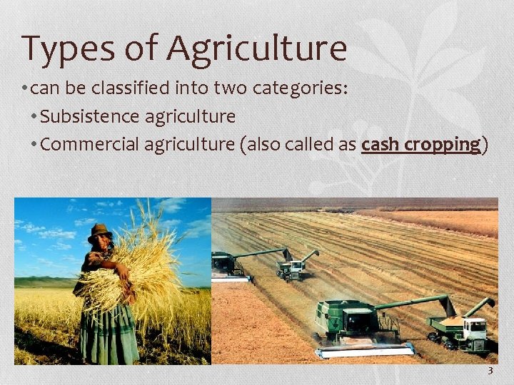Types of Agriculture • can be classified into two categories: • Subsistence agriculture •