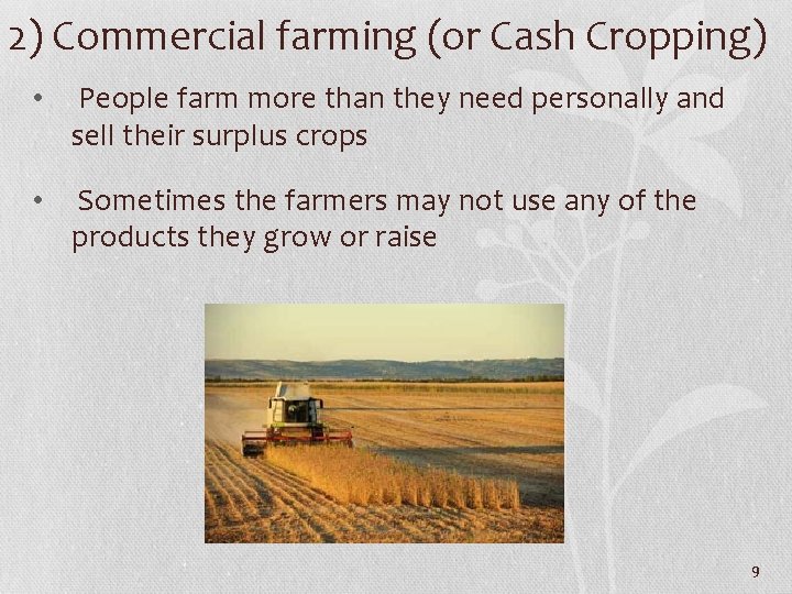 2) Commercial farming (or Cash Cropping) • People farm more than they need personally